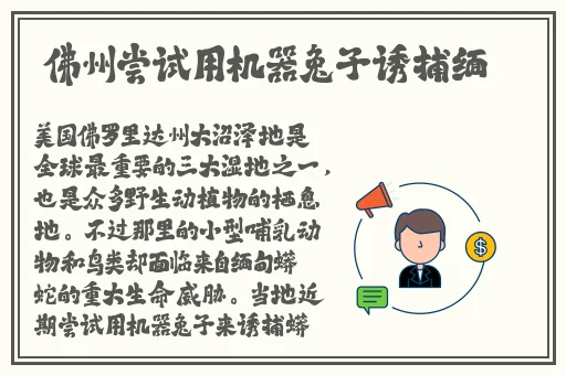 911国内自产精华天堂